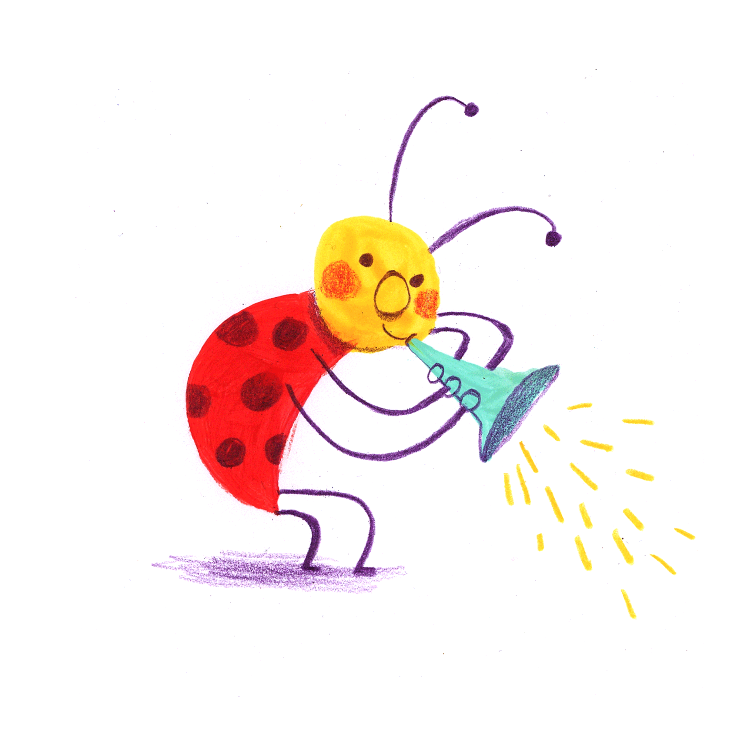 The Bug