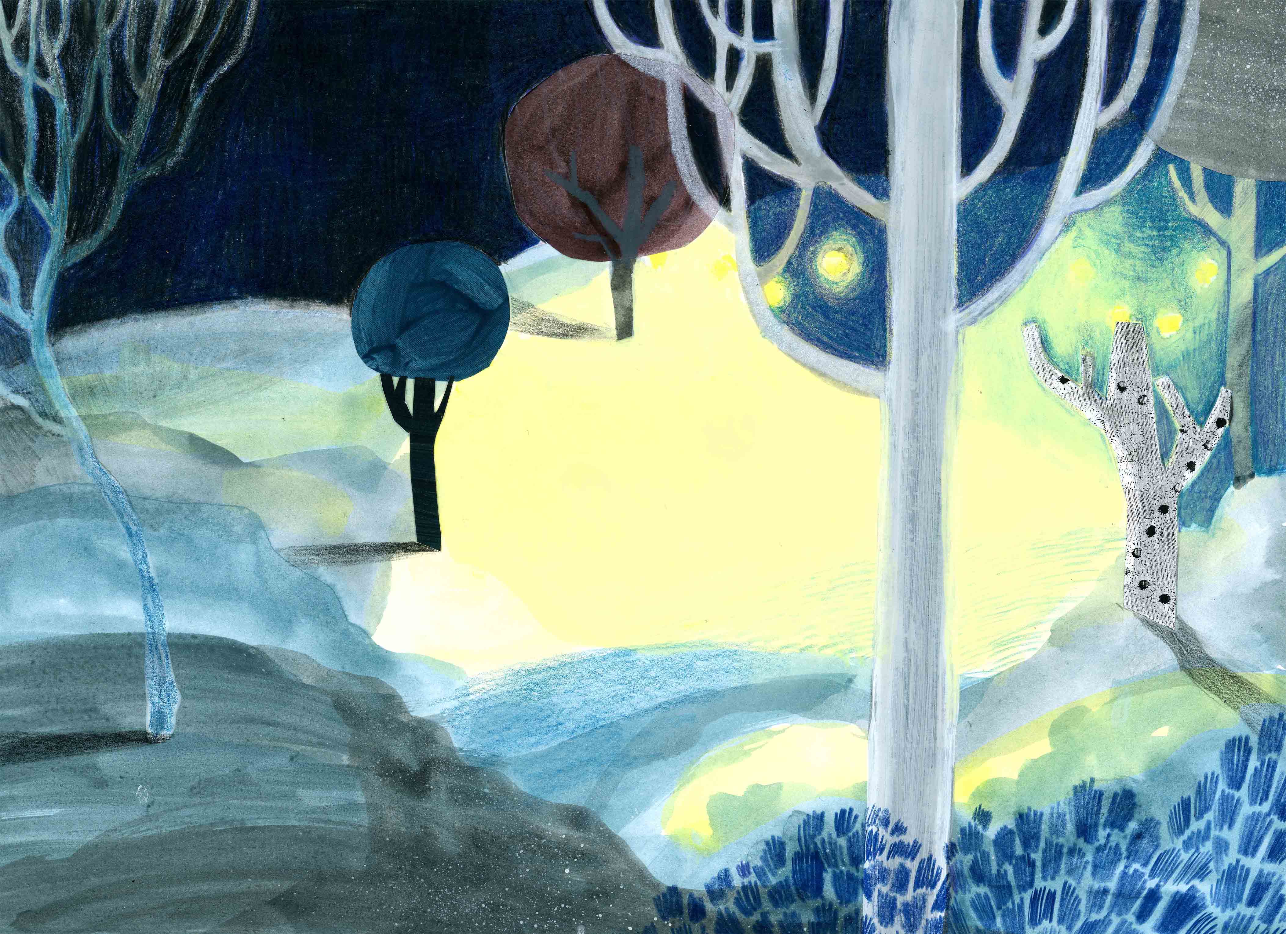 Woods