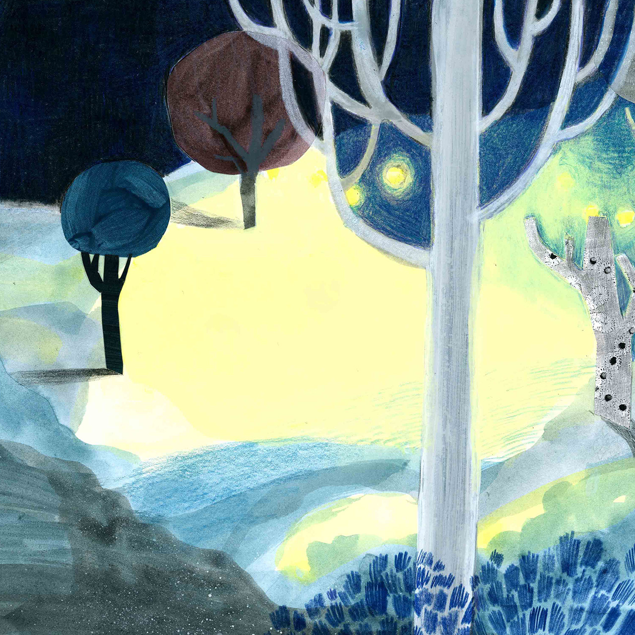 Into the woods